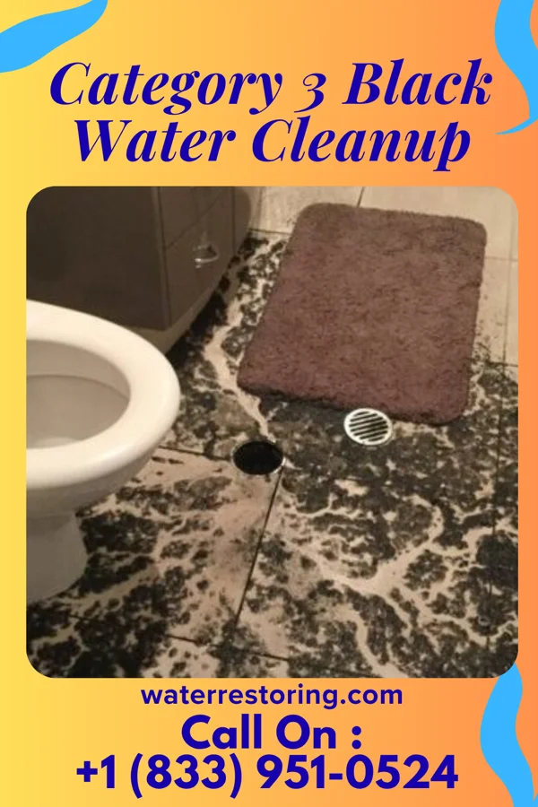 Category 3 Black Water Cleanup in Wallowa, OR